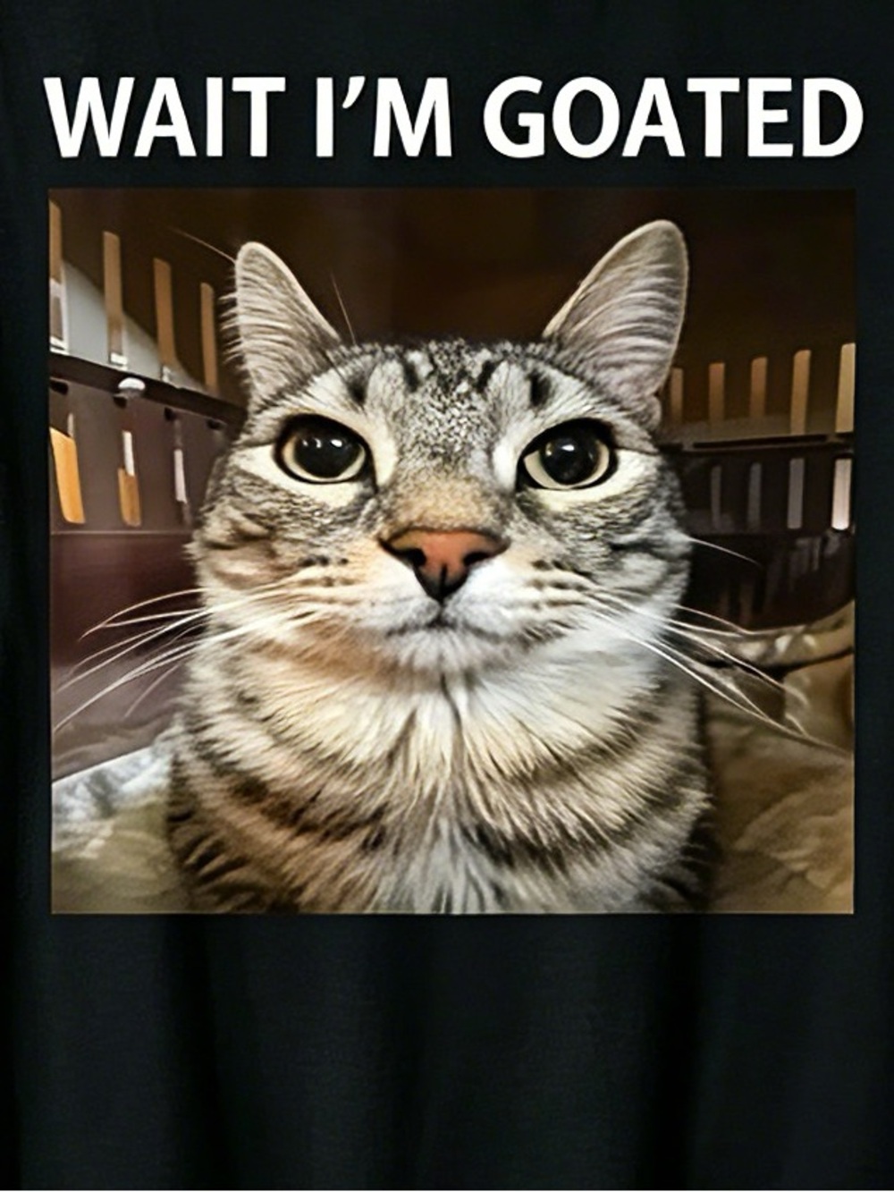 Wait I'm Goated Silly Cat Meme T-Shirt - Picture 2 of 4